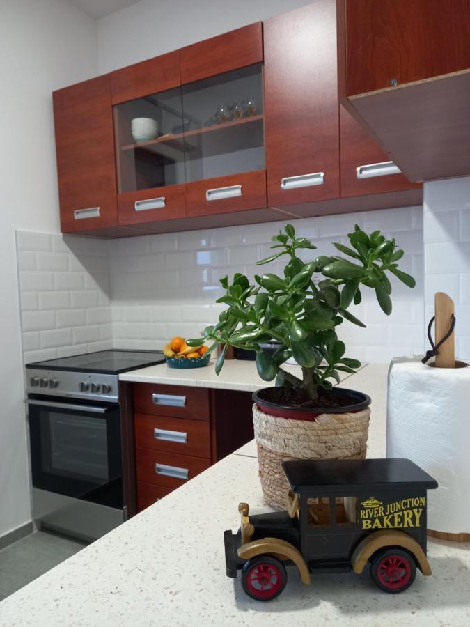 Ferienwohnung Avenija Oaza Novi Sad Exterior foto